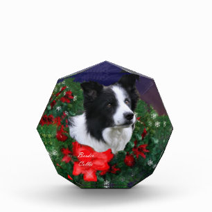 Border Collie Christmas Award