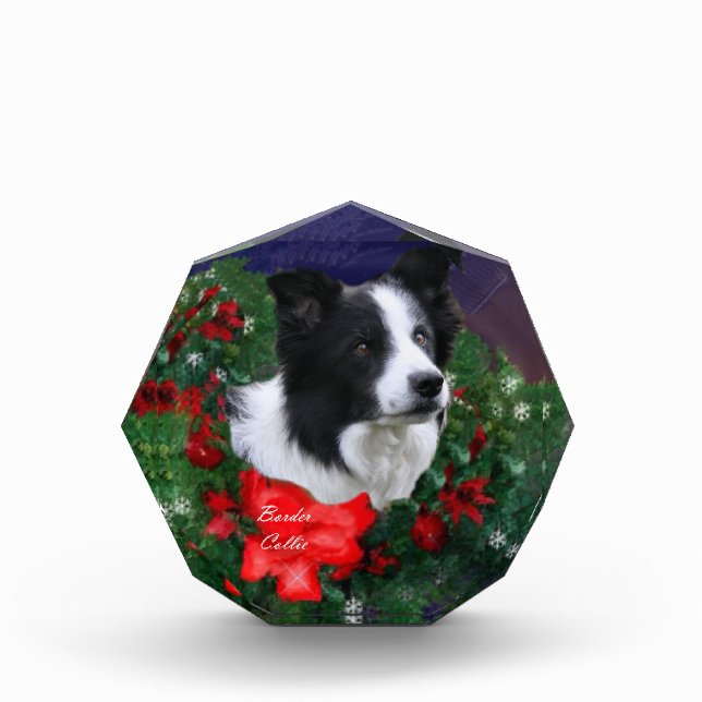Border Collie Christmas Award (Front)