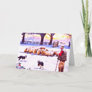 Border Collie Christmas Card