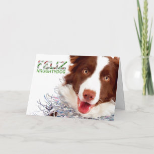 Border Collie Christmas Card