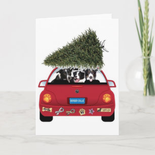 Border Collie Christmas Card