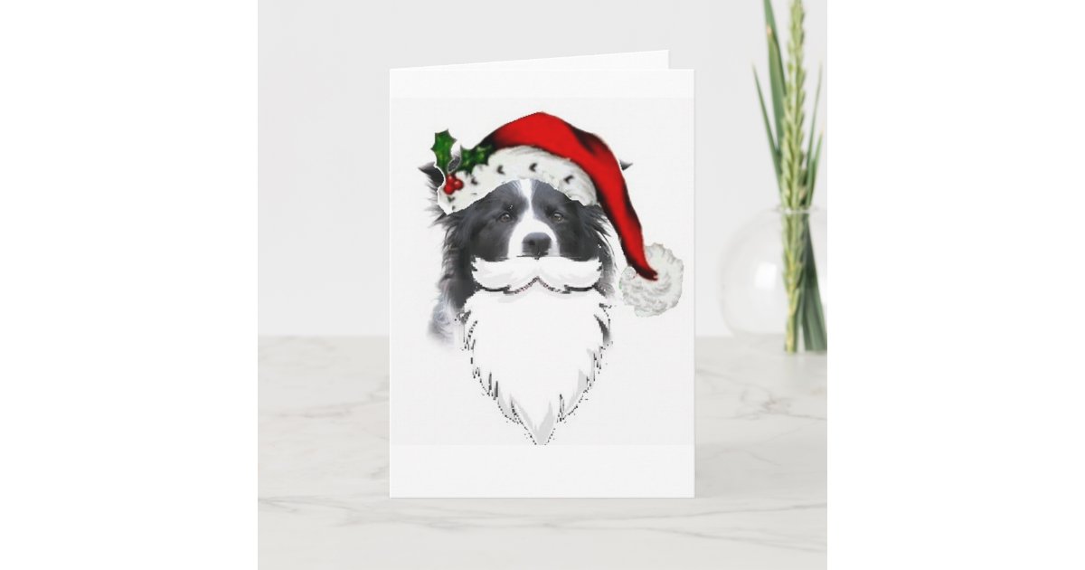Border Collie Christmas Card~Santa With Beard Holiday Card | Zazzle