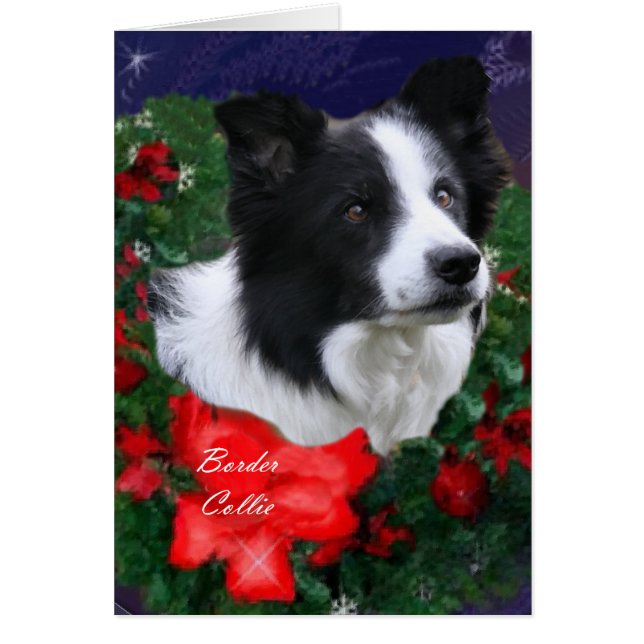 Border Collie Christmas Cards (Front)