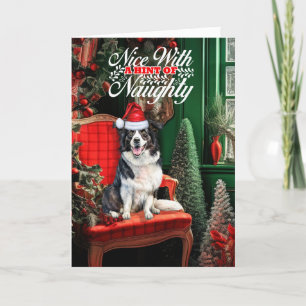 Border Collie Christmas Dog Naughty or Nice Holiday Card