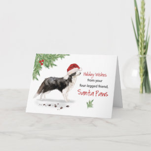 Border Collie Christmas From Dog in Funny Santa Card