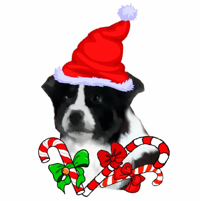 Border Collie Christmas Gifts Statuette (Front)