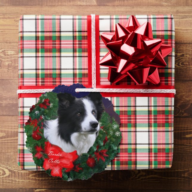 Border Collie Christmas Greetings Ornament Card (Insitu (Gift))