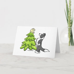Border Collie Christmas Holiday Card