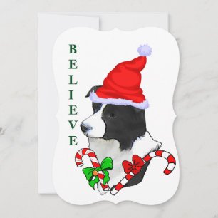 Border Collie Christmas Holiday Card