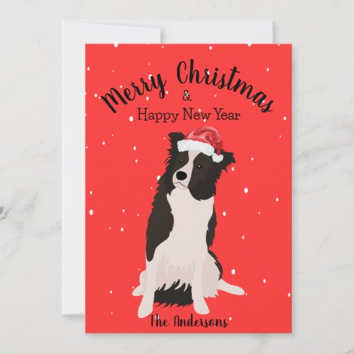 Border Collie Christmas Holiday Card