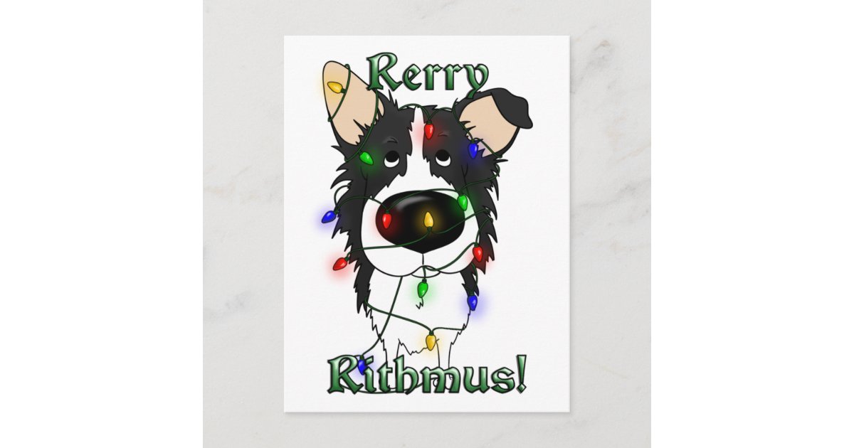 Border Collie Christmas Lights Holiday Postcard | Zazzle.com