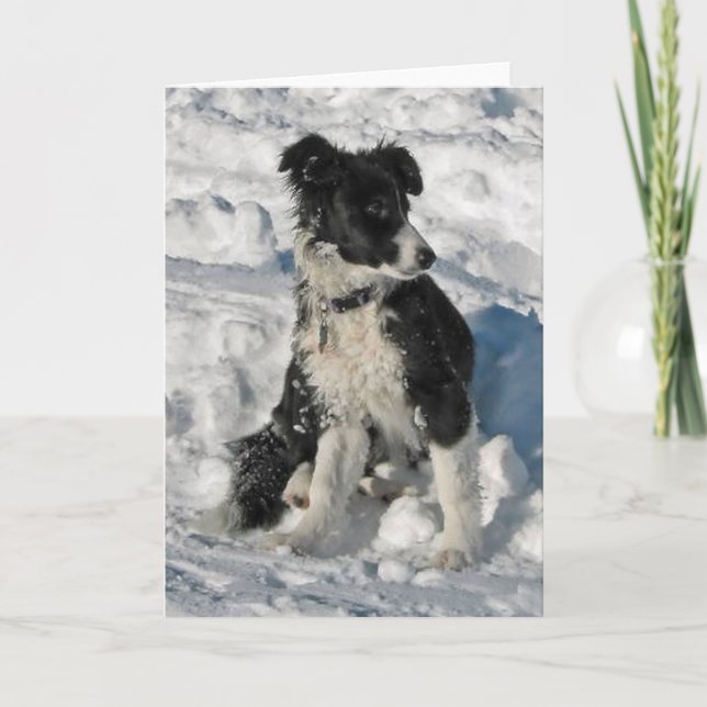 Border Collie Christmas Note Card (Front)