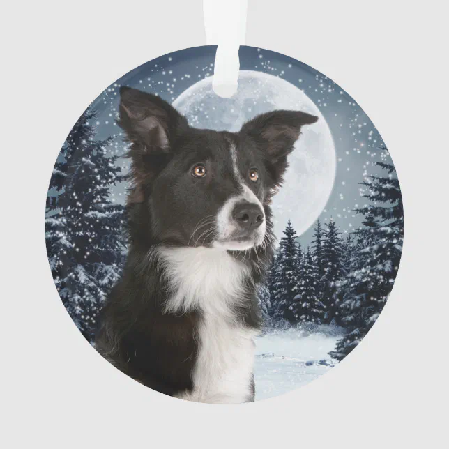 Border Collie Christmas Ornament Zazzle