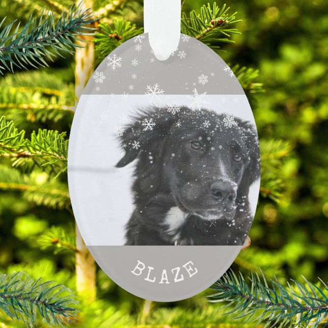 Border Collie Christmas Personalized Pet Photo Ornament (Creator Uploaded)