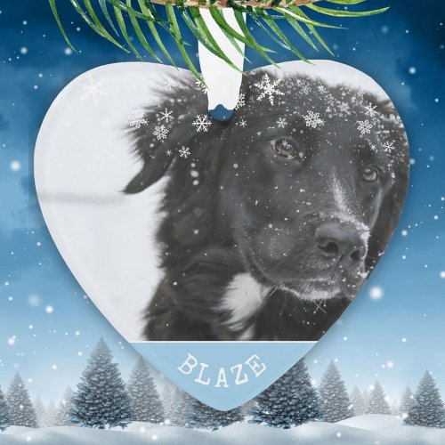 Border Collie Christmas Personalized Pet Photo Ornament