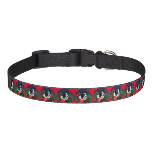 Border Collie Christmas Pet Collar