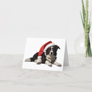 Border Collie Christmas Puppy Christmas Card