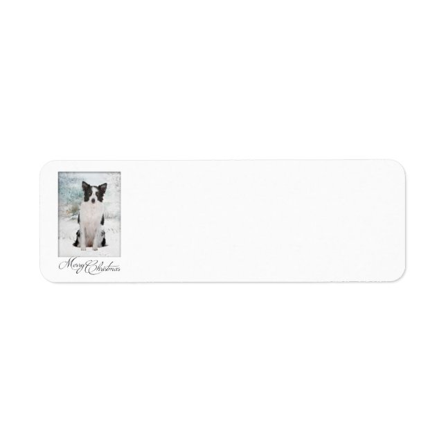 Border Collie Christmas Return Address Labels (Front)