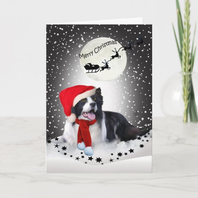 Border Collie Christmas Sharing Holiday Card (Front)
