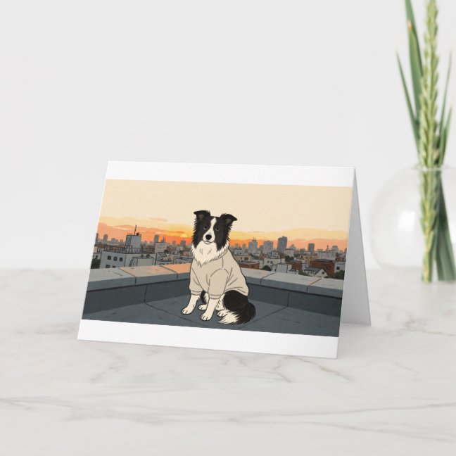 Border Collie City Rooftop Sunset Greeting Card