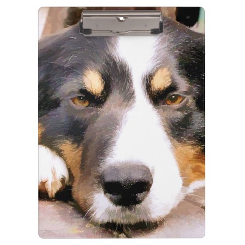 BORDER COLLIE CLIPBOARD