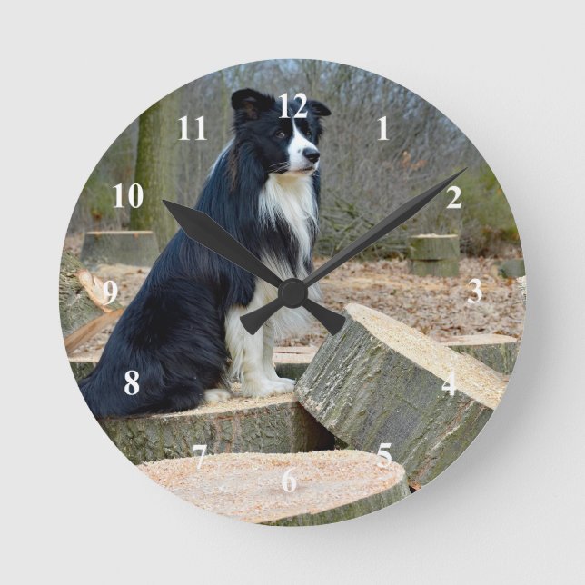 Border Collie Clock (Front)