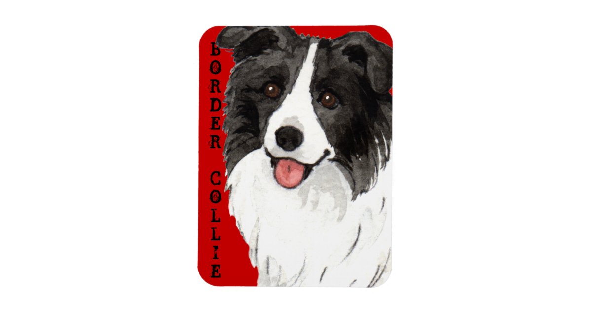 Border Collie Color Block Zazzle