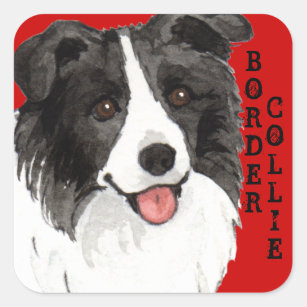 Border Collie Color Block Square Sticker
