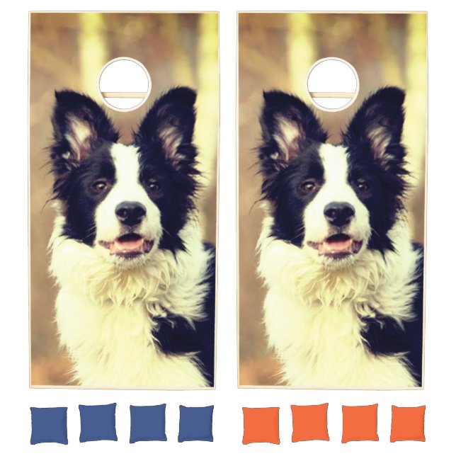 Border Collie Cornhole Set (Set)