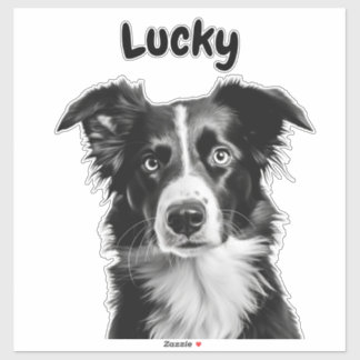Border Collie Custom Name Sticker