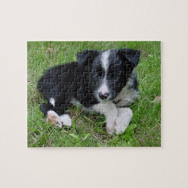 Border Collie Customizable Puzzle! Jigsaw Puzzle (Horizontal)