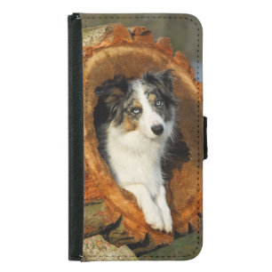 Border Collie cute dog Animal Photo Samsung Galaxy S5 Wallet Case