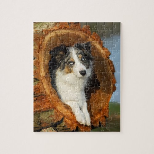 Border Collie cute dog Jigsaw Puzzle