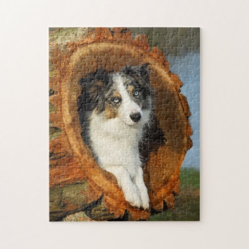 Border Collie cute dog Jigsaw Puzzle