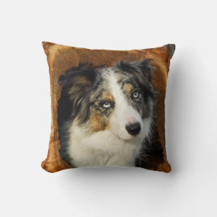 Border Collie cute dog Throw Pillow