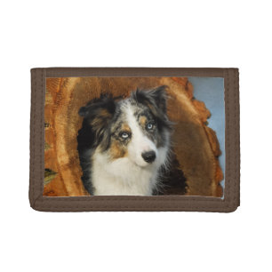 Border Collie cute dog Tri-fold Wallet