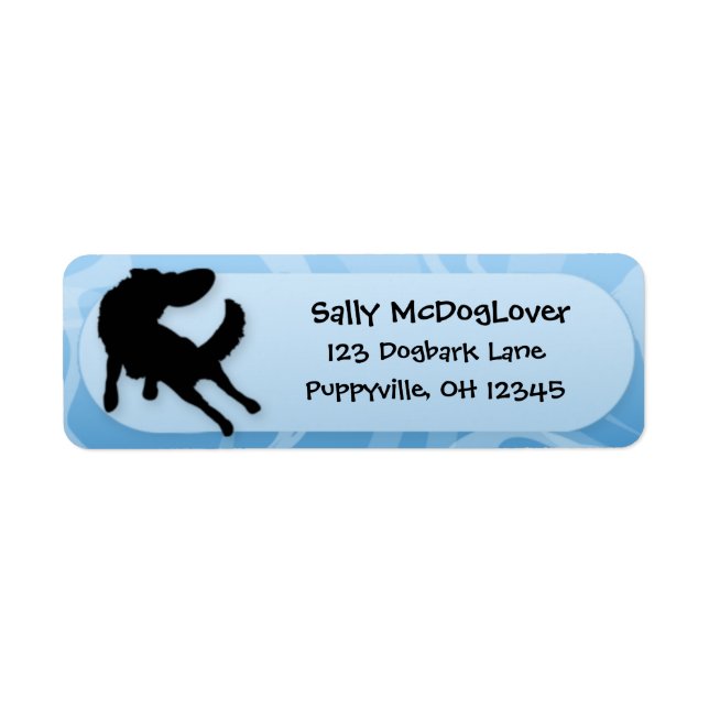 Border Collie Disc Dog Label (Front)