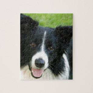 Border Collie Dog Add Text Pet Jigsaw Puzzle