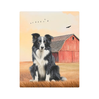 Border Collie Dog and Red Barn Ranch Metal Print