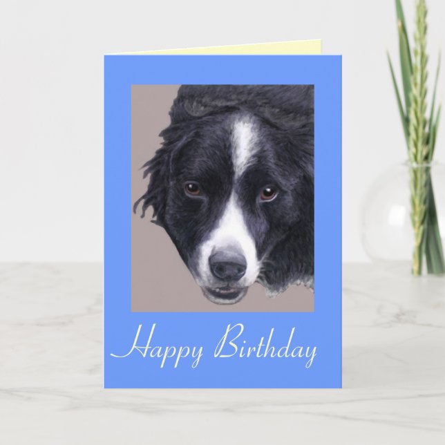 border collie dog birthday card (Front)