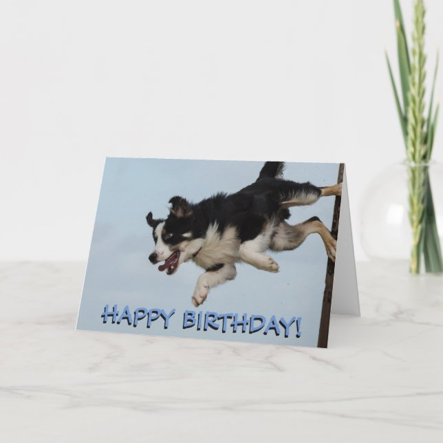 Border collie dog birthday card (Front)
