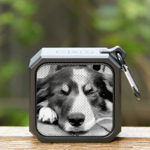 BORDER COLLIE DOG BLUETOOTH SPEAKER