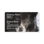 Border Collie Dog Business Cards