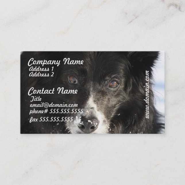 Border Collie Dog Business Cards (Front)