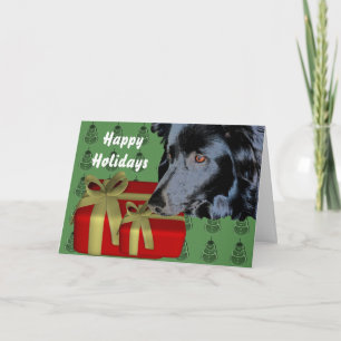 Border Collie Dog Christmas Holiday Card