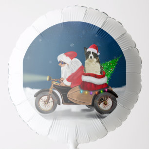 Border Collie Dog Christmas Santa Claus Balloon