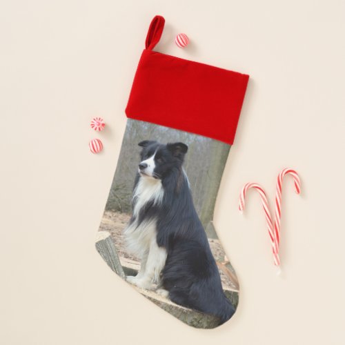 Border Collie Dog Christmas Stocking