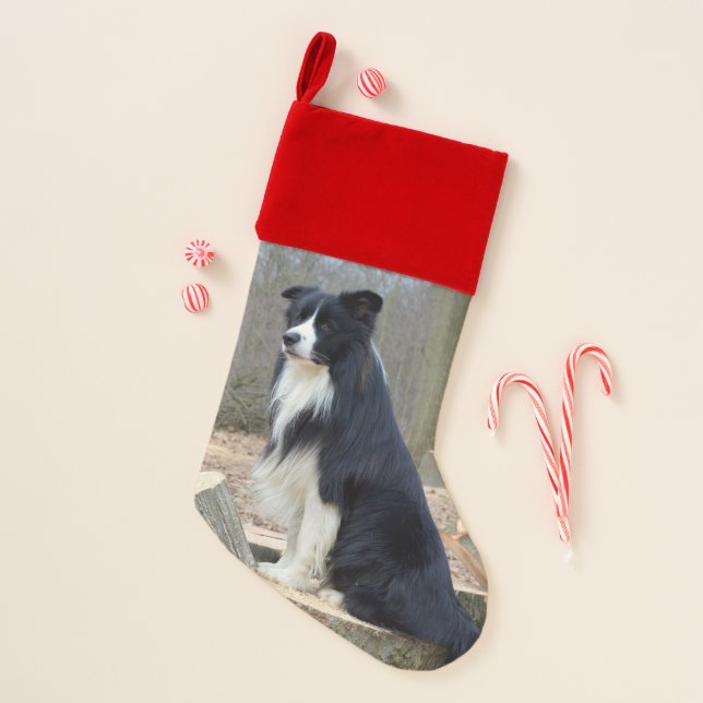 Border Collie Dog Christmas Stocking (Front)