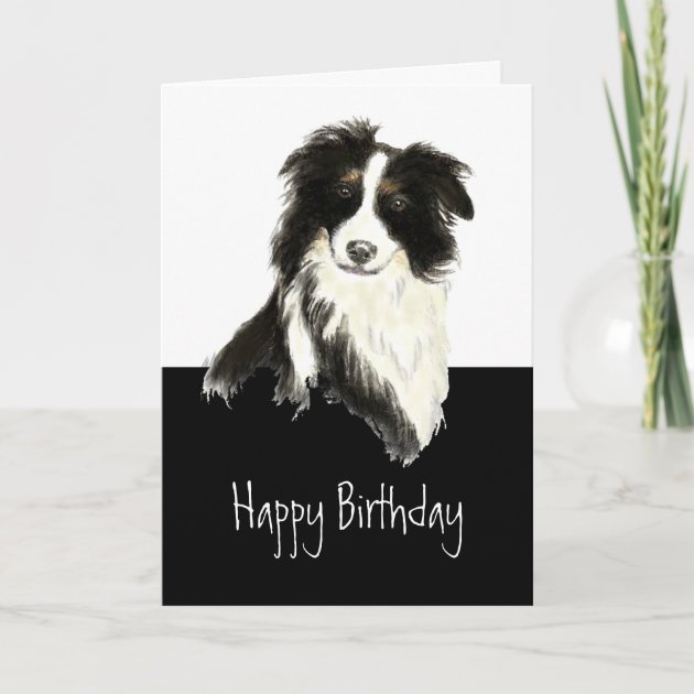 Border Collie Dog Personalised Birthday Gift Wrap ADD NAME/S CHOOSE BACKGROUND 