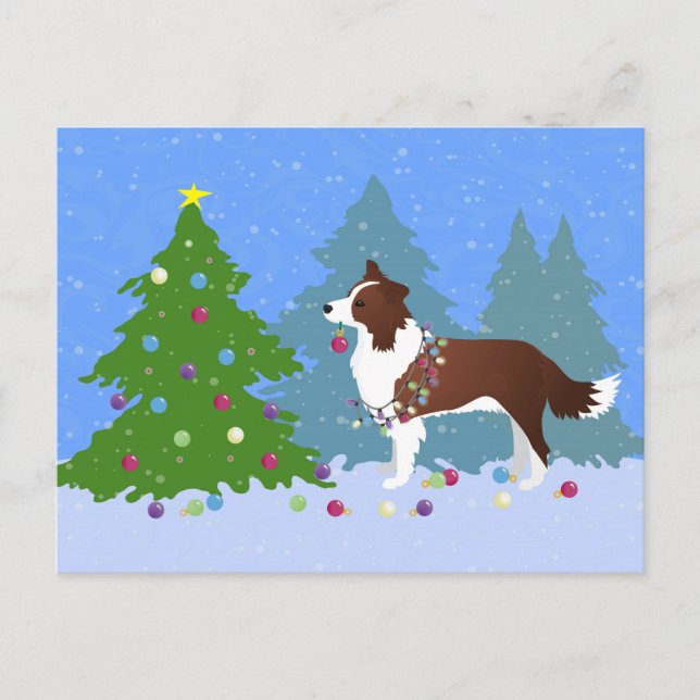 Border Collie Dog Decorating Christmas Tree Holiday Postcard (Front)